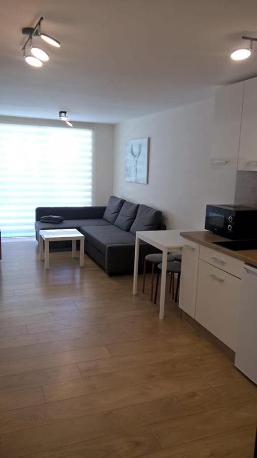Apartamenty Skalite Szczyrk Wellness Kültér fotó